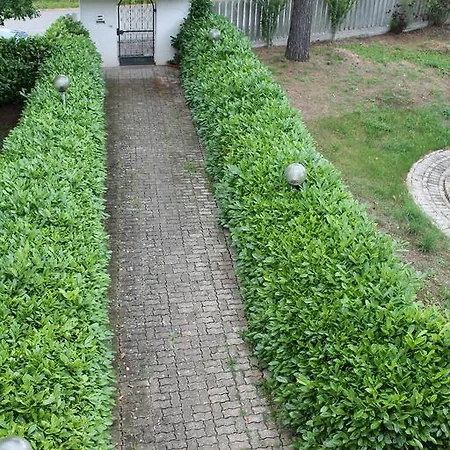 Mare E Monti Apartamento *