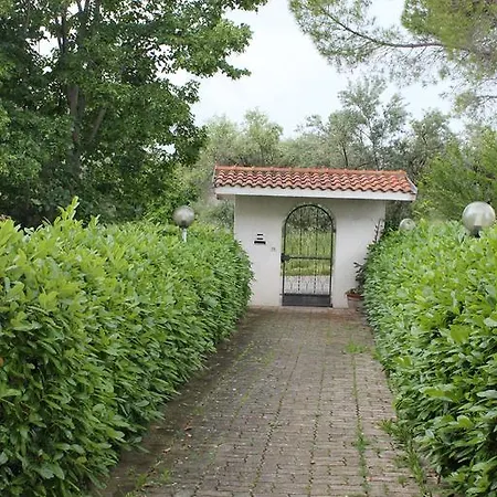 Mare E Monti * Arielli