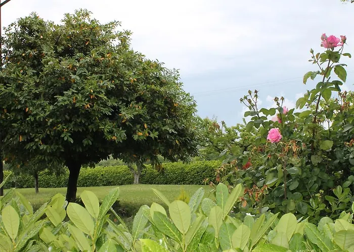 Mare E Monti Arielli