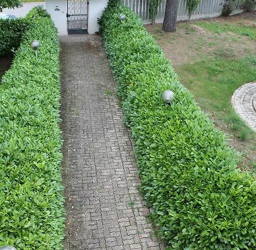 Mare E Monti Апартаменты *